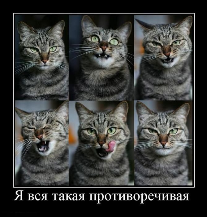 Николай Чистосердов Дмитриевич | Москва