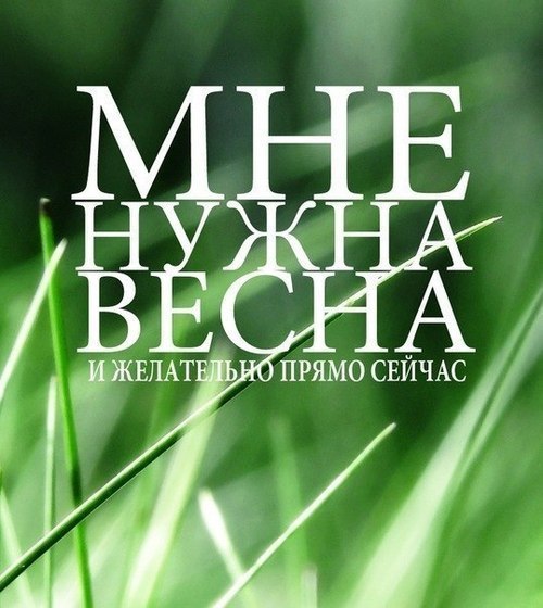 №179, Александра Аверьянова №179, Александра Аверьянова