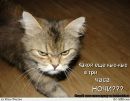 Фотография Кирилл Фунтов