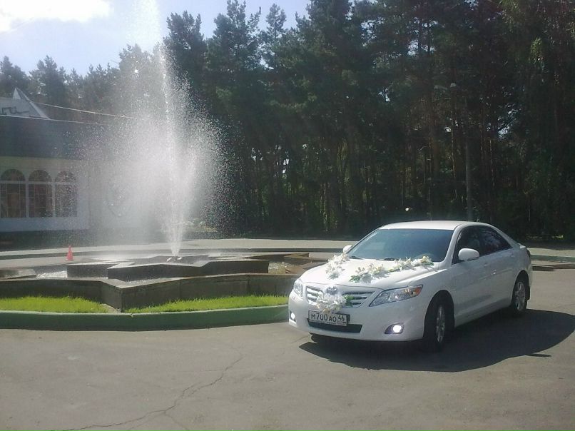 Игорь Нидзельский | Курск