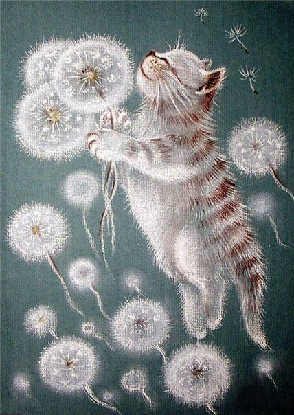 Мария Чинкина Sardino4ka | Киев