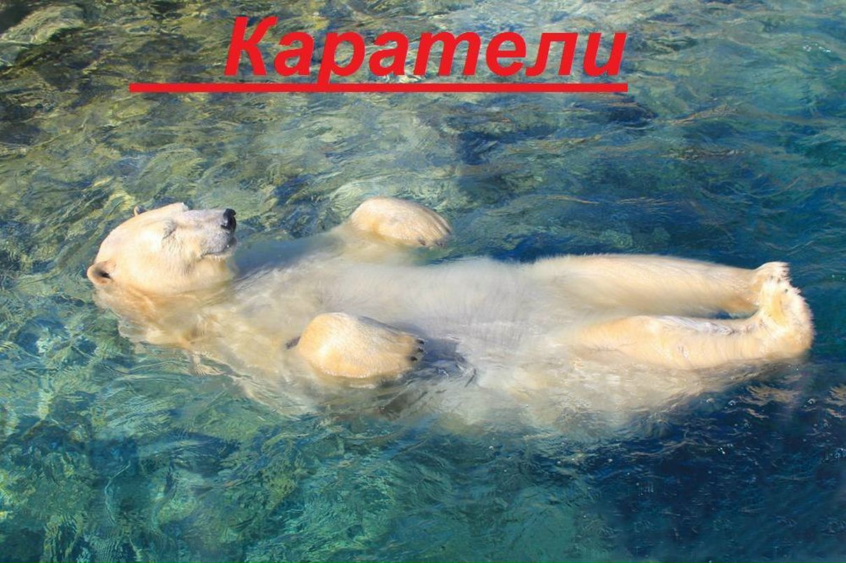 Даша Лисичкина | Москва