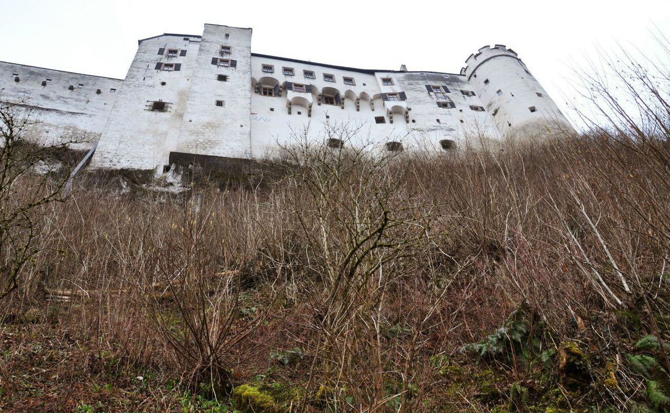Мария Сыч | Москва