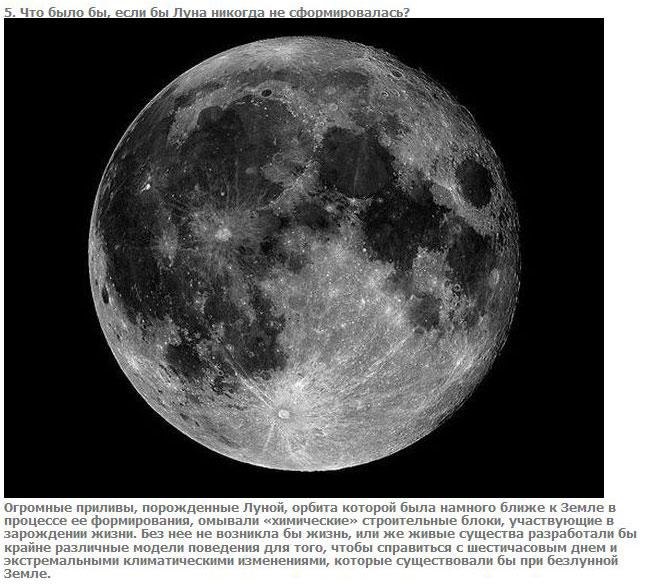 Игорь Булгаков | Орёл