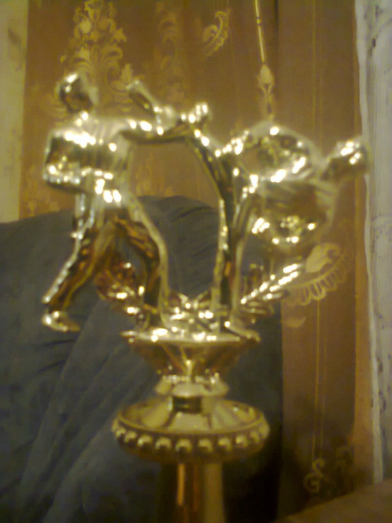 Артем Гуляев | Новосибирск