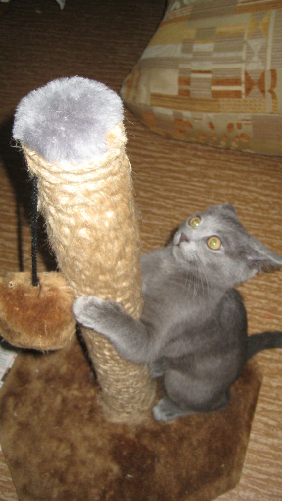 Юлия Соловьева | Санкт-Петербург