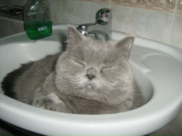 №32, Ірина Урезченко, Тернополь №32, Ірина Урезченко, Тернополь