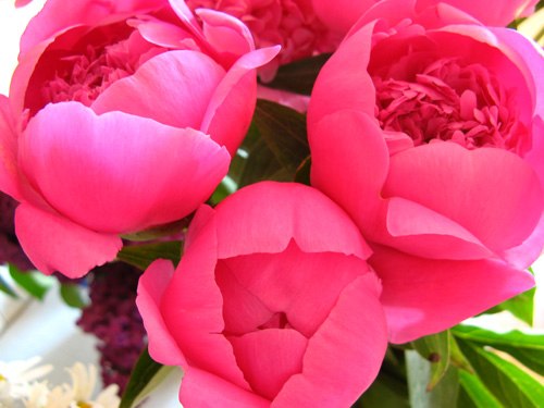 Тина Славиковна | Чернигов