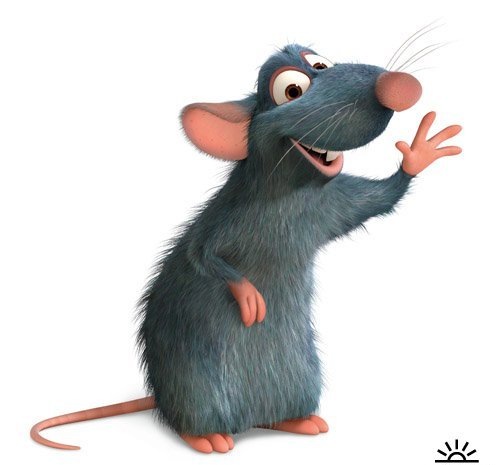 №20, Максим Сафронов, 35 лет, Новосибирск №20, Максим Сафронов, 35 лет, Новосибирск