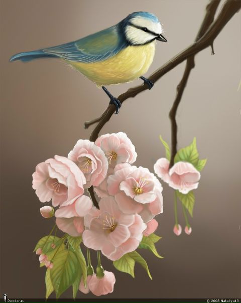 №30, Леонид Яковчук, Киев №30, Леонид Яковчук, Киев