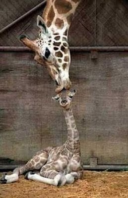 Юлия Решетникова | Лахденпохья