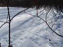 №13 Денис Люкин