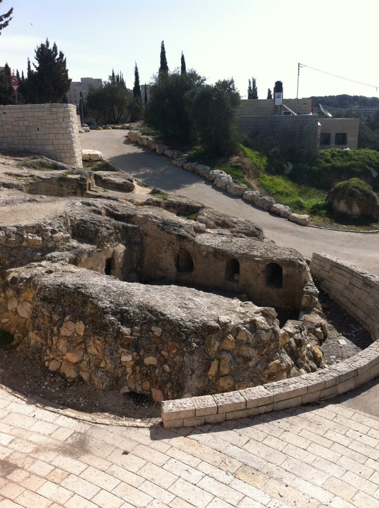 Анна Фактор | Ришон ЛеЦион