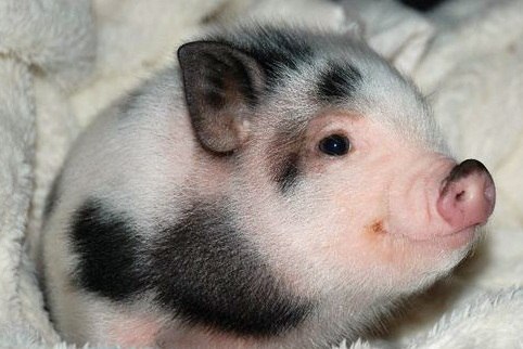 Ivakov Sergey | Wuppertal