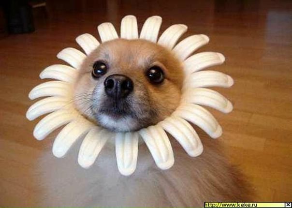 №44, Павел Самойлов, Москва, Россия №44, Павел Самойлов, Москва, Россия