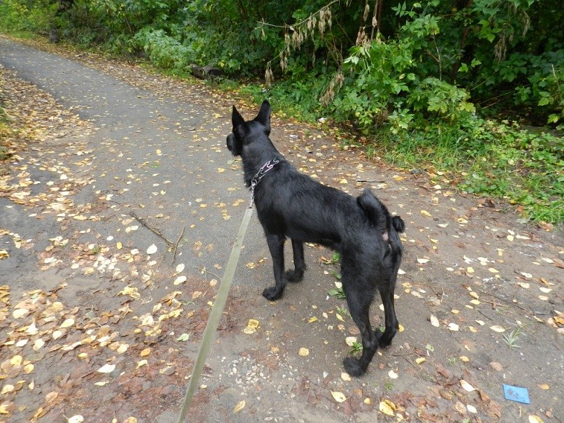 Ирина Калинина Ивановна | Ижевск