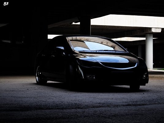 Макс Студеникин | Алушта