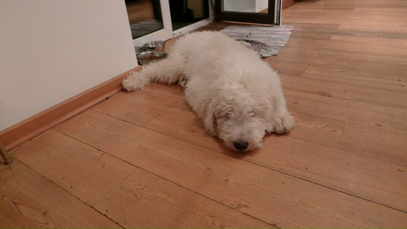 Евгения Стеркина | Москва