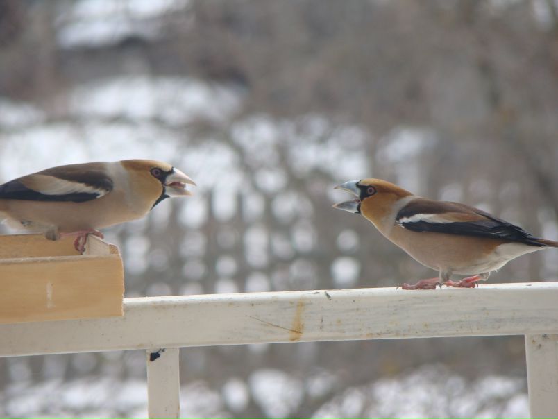 №67, Андрей Данильчик, 37 лет №67, Андрей Данильчик, 37 лет