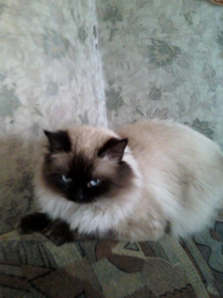 №1, Марина Захарова №1, Марина Захарова