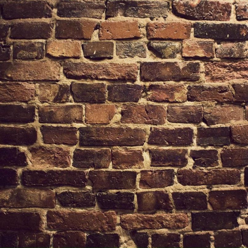 Екатерина Щербакова | Москва