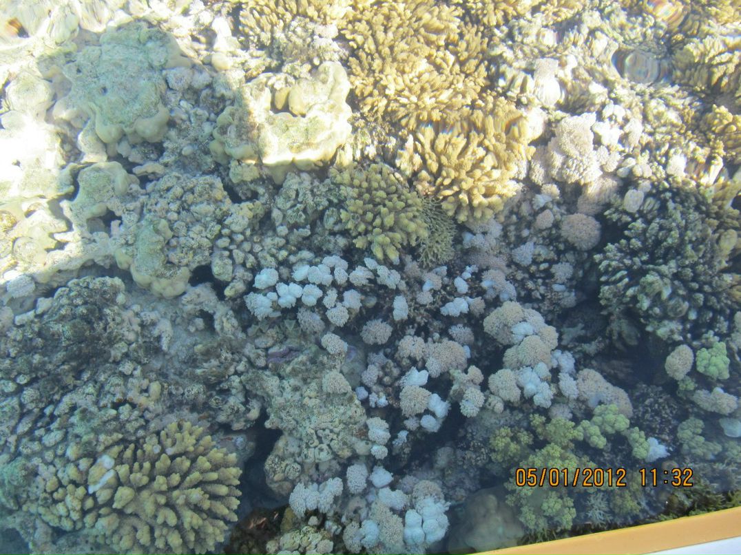 Андрей Герасименко | Киев