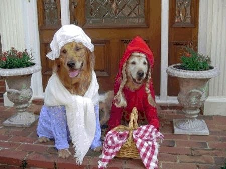 №62, Mia Lu №62, Mia Lu