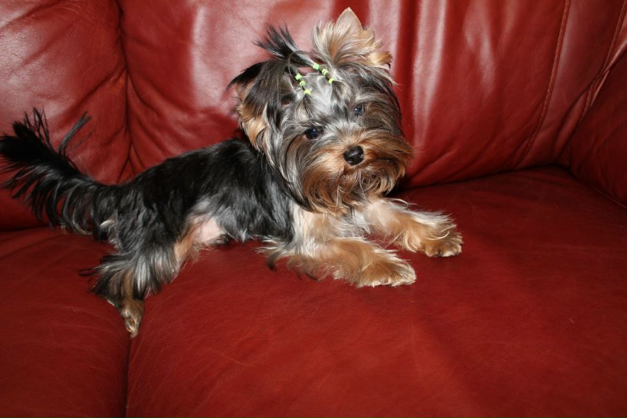 №18, Татьяна Ульянова, 40 лет, Севастополь №18, Татьяна Ульянова, 40 лет, Севастополь