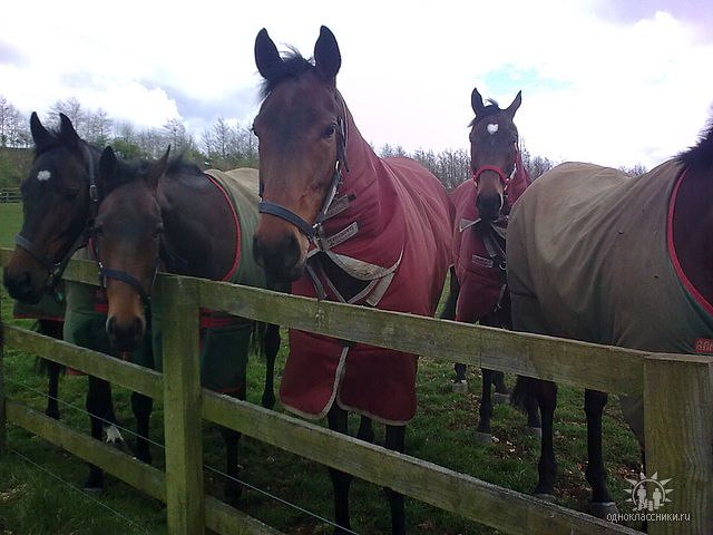 Valentyna Petrushko | Ровно