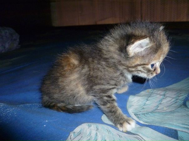 №138, Анна Белых, Екатеринбург №138, Анна Белых, Екатеринбург