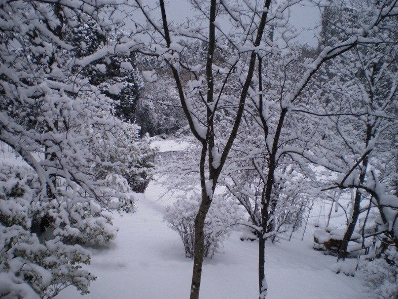 Татьяна Лыткина Викторовна | Йошкар-Ола