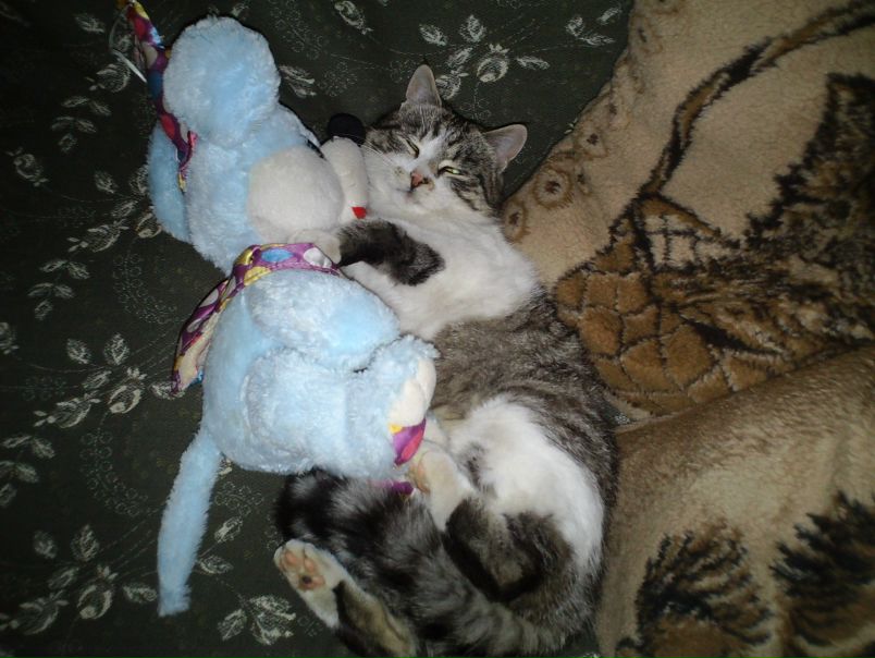 №32, Віта Якимчук, Тернополь №32, Віта Якимчук, Тернополь