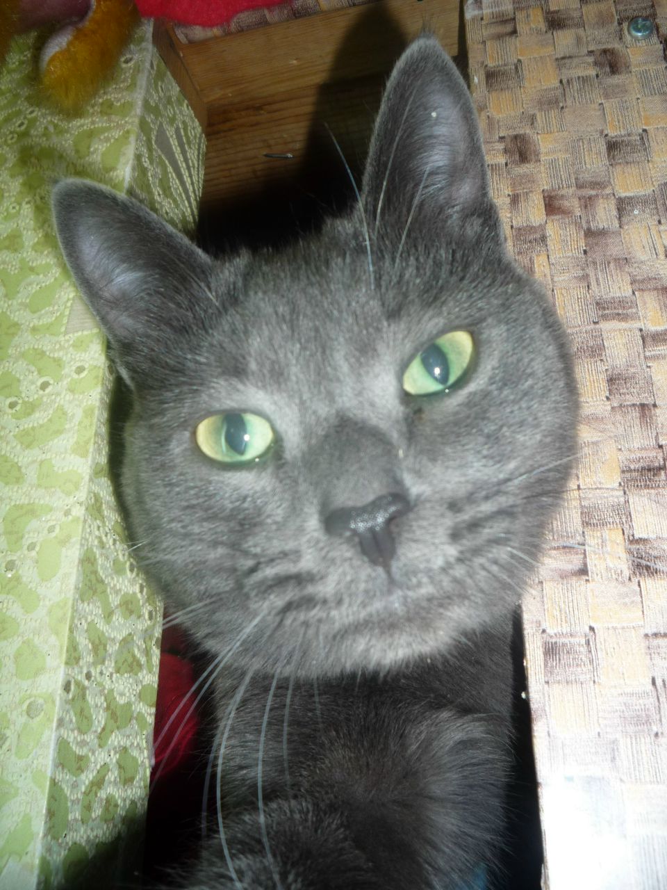 Любовь Злобина | 