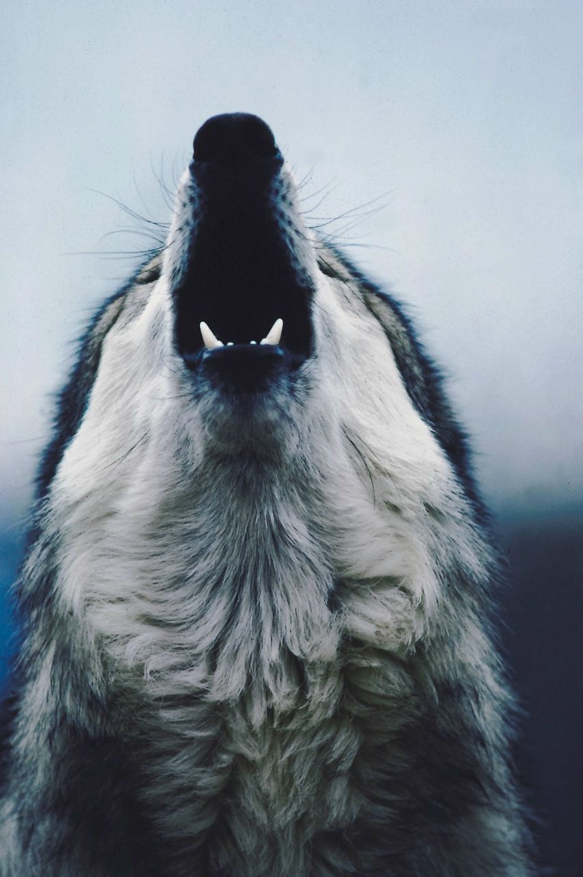 Сашка Лысаков | Москва