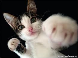 Юрий Владимирович | Полтава