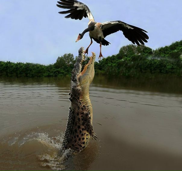 №20, Иван Макаров №20, Иван Макаров