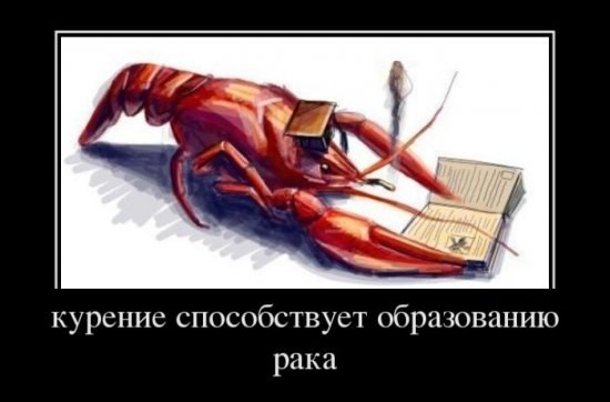 Ольга Виноградова | Санкт-Петербург