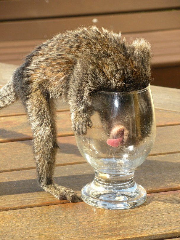 Наталия Важненко | Санкт-Петербург