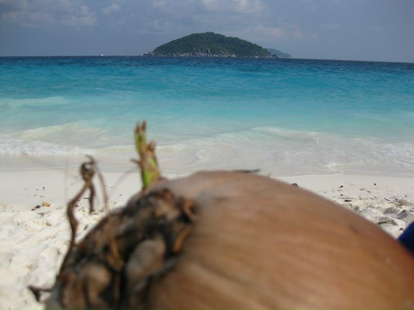 Евгений Симонов | Москва