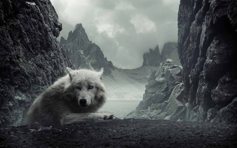 Александр Степанов | Санкт-Петербург