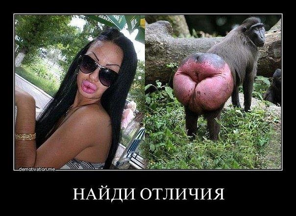 Анна Лукьянова | Москва