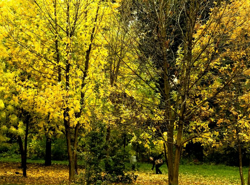 №141, Алина Иванова, 34 года, Киев №141, Алина Иванова, 34 года, Киев