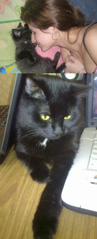 Оксана Кавардакова ~ ξ ~ | Санкт-Петербург