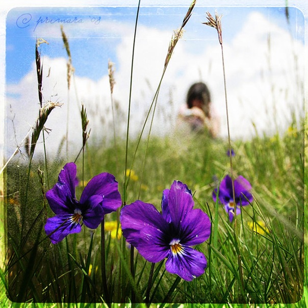 №14, Галя Марків №14, Галя Марків