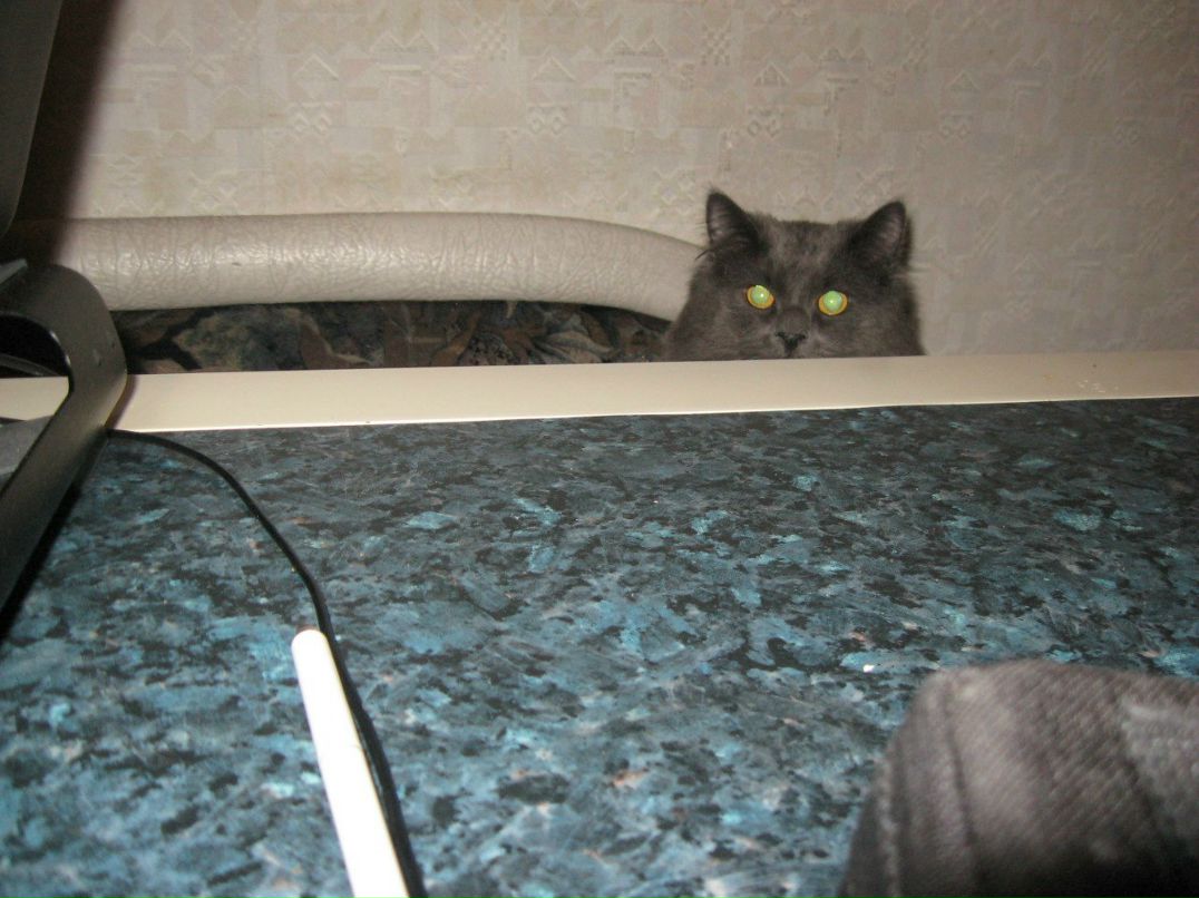 Игорь Колецкий | Санкт-Петербург