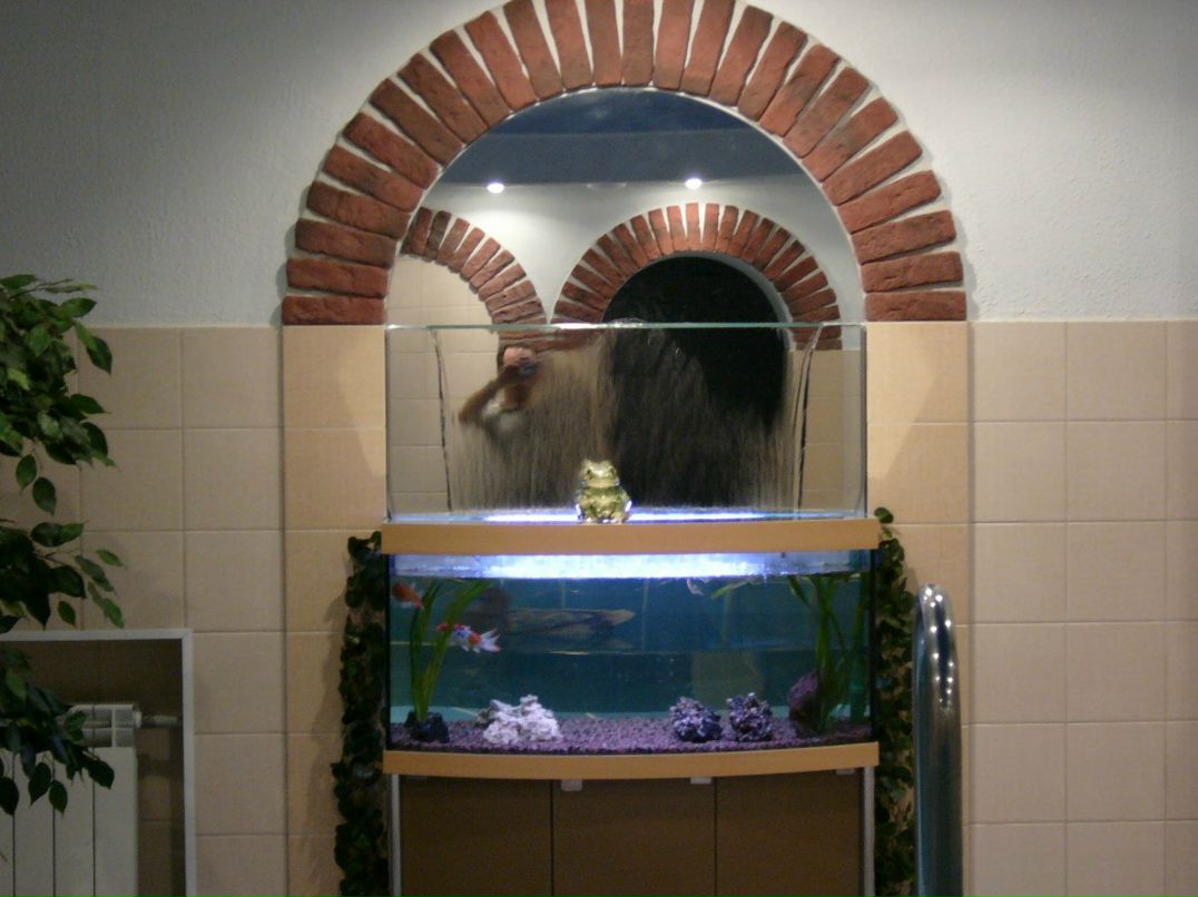 Александр Тимофеев | Санкт-Петербург