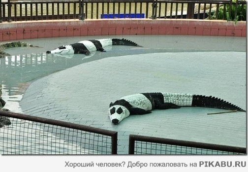 №38, Юрий Булычев, Днепр (Днепропетровск) №38, Юрий Булычев, Днепр (Днепропетровск)