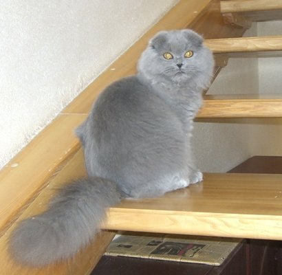 Ольга Олейник | Белая Церковь