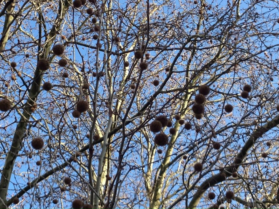 Александра Климашевич | Минск