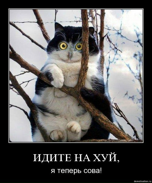 №2, Ivan Ponomarev, 35 лет, Пермь №2, Ivan Ponomarev, 35 лет, Пермь